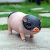 Имитация Фигурка Свиньи Орнаменты Садовые Декоративные Аксессуары Свинья Смола Скульптура Модель Ручная Работа Декор для Дома Гостиной Подарок