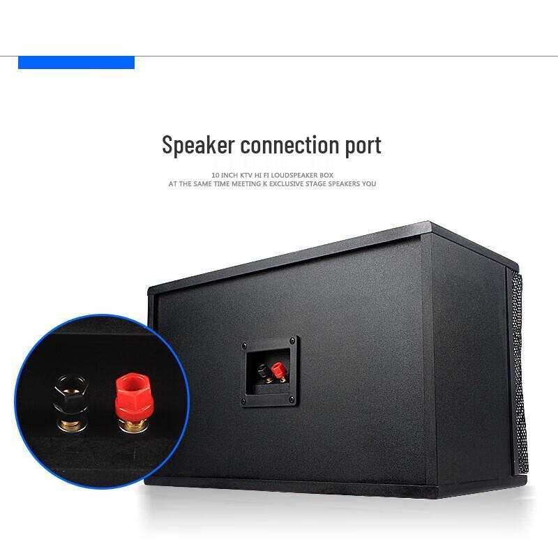 KAXISAIER 10-inch Professional KTV Karaoke Speaker CN plug (adapter included)