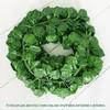 Decorative Indoor Stair Handrail with Climbing Green Leaves for Outdoor, Wedding, or Hanging Display