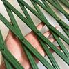 Plant Climbing Lattice High Durability Stretchable Plastic Expandable Plant Climb Wall Hanging Frame Trellis Garden Supplies