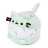 Pusheen Ice Cream Squishy