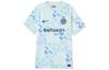 Nike Футбольная форма Интер Милан SS25 Мужская HJ4555-497