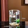 Eco-Friendly Desktop Fish Tank: Plastic Turtle & Fish Habitat with Imitation Glass, Micro Landscape Design for Home/Living Room Décor