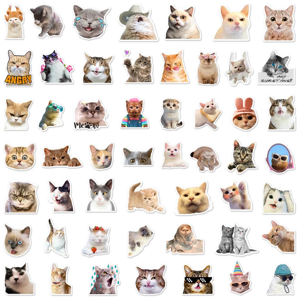 50pcs Fun and Trendy Cat meme Expression Graffiti Stickers - Perfect for Personalizing Gadgets and Accessories