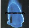 CD RUINS - Burning Stone SHIMMY57 Shimmy Disc 1992 USA & Cana Jazz Used