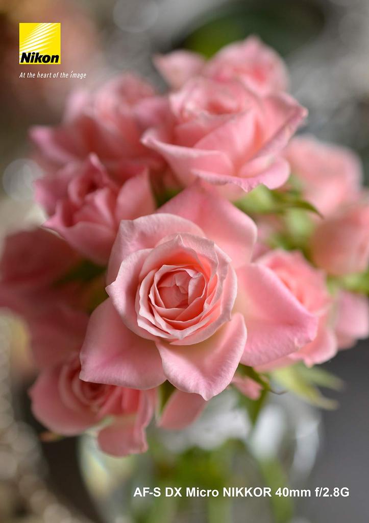 Nikon Single Focus Micro Lens DX Micro NIKKOR 40mm for Nikon DX Format Only AF-S f/2.8G