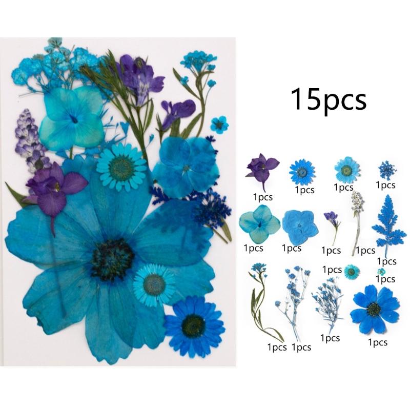 495Piece Dried Flower Craft Set Including Pressed Blooms and Butterfly Stickers for Resin Art and Journal Decorating