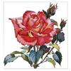 Набор стежков для вышивки "Цветок розы ручной работы" - Штампованный 11CT 54x56см