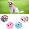 Headdress Pet Product Accessories Visor Hat Puppy Outdoor Pet Canvas Cap Dog Cap