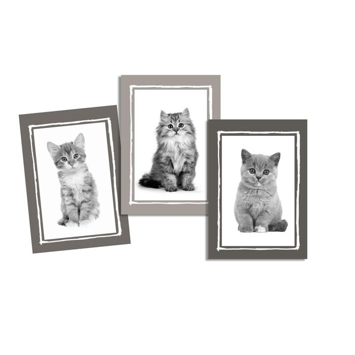 Lot de 3 Torchons Chatons