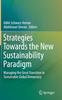 Книга Strategies Towards the New Sustainability Paradigm : Managing the Great Transition To Sustainable Global Democracy