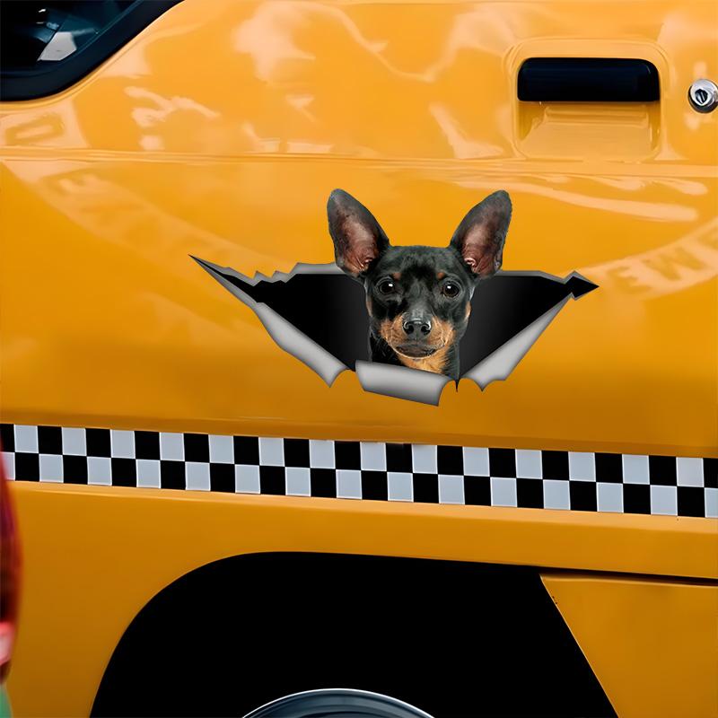 Cute Pinscher 3D Break the Wall Car Sticker, Waterproof Vinyl Material Accessories, Interesting Creativity For Cars, Trucks, Motorcycles, Walls