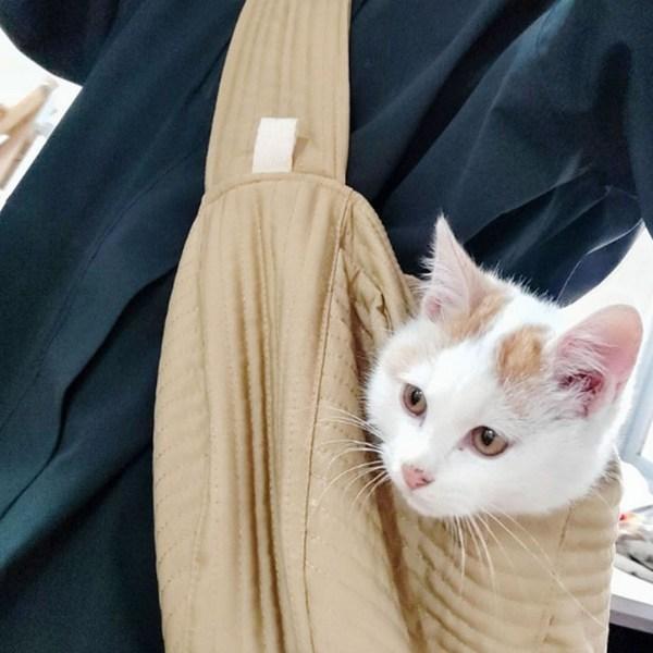 Dingdongpet Pet Explosive Sling Bag, Beige, S, 1 Piece, Korean Pet Shampoo