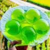 Solid Water Ball Pinching Toy Transparent Bubble Rabbit Pinching Toy  Children Toys