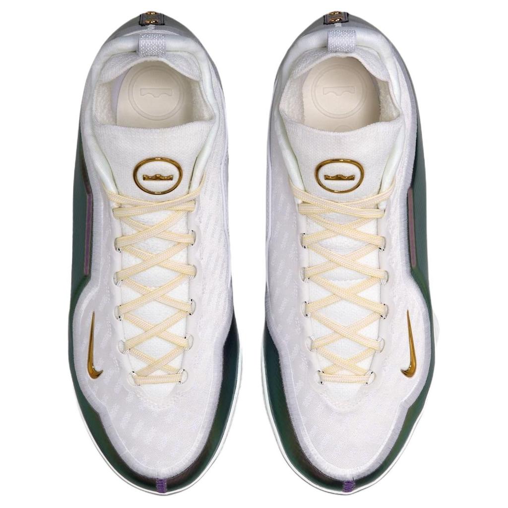 Nike LeBron XXIII Elite Good Intentions EP 'Белый' Мужские IB9558-100