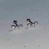 Silver Color Clover Zircon Stud Earrings for Women Sweet Exquisite Screw-Back Ear Piercing Jewelry Birthday Party Gifts