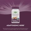 Nature's Way Ashwagandha 500mg Vegetarian Capsules, 60 Count