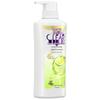 Clear Anti-Dandruff Oil Control Scalp Care Shampoo 450g