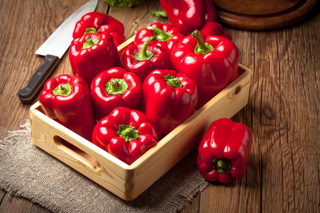 SAFLAX Organic - Sweet Pepper - California Wonder Red - 20 Seeds - Capsicum Annuum