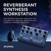 Strymon synthesis reverb machine “NIGHTSKY” []