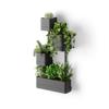 Umbra Cubico Wall Black [Official] Planter,