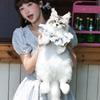 Ручной изготовления Серый Мейн-кун Рюкзак Плюшевая Игрушка Котенок Модный Подарок Для Женщин Детей Годовщина День Рождения Лолита Декор