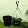 FRCOLOR Hanging Set of Hanging Breathable Flower Thickened Hanging Planter Pots for Orchid Hanging Indoor Hanging Decorative Flower Pots Baskets, 6,