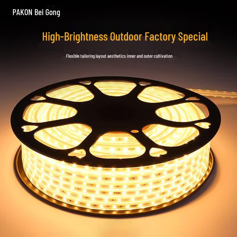 Beigong 220V 6W/m High Brightness LED Strip Light