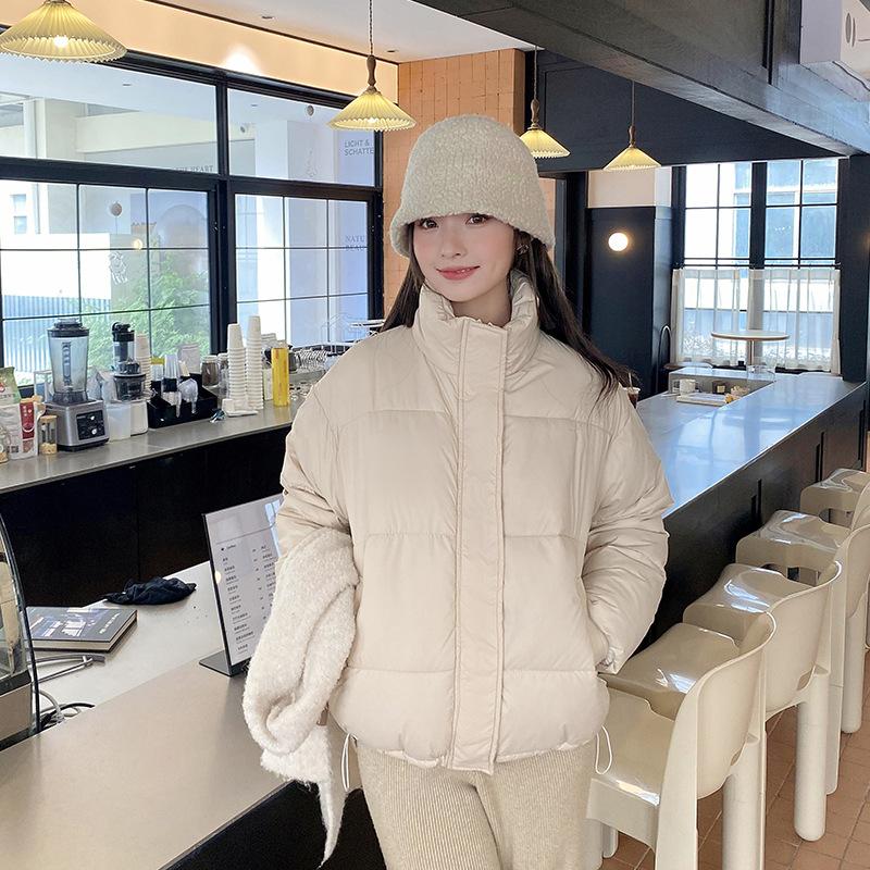 Short Collar Down Coat Jacket Coat Women 2023 Thick Warm Autumn and Winter