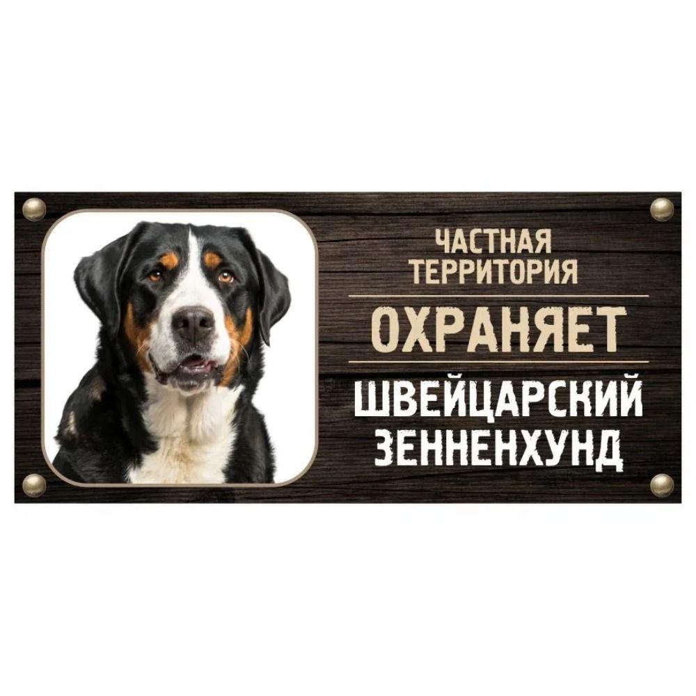 Жестяная табличка DORA Сторожевая собака Знак частной собственности Металлическая табличка с номером дома