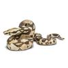 Safari Boa Constrictor Snake Figure Scale Model 266529 1/4