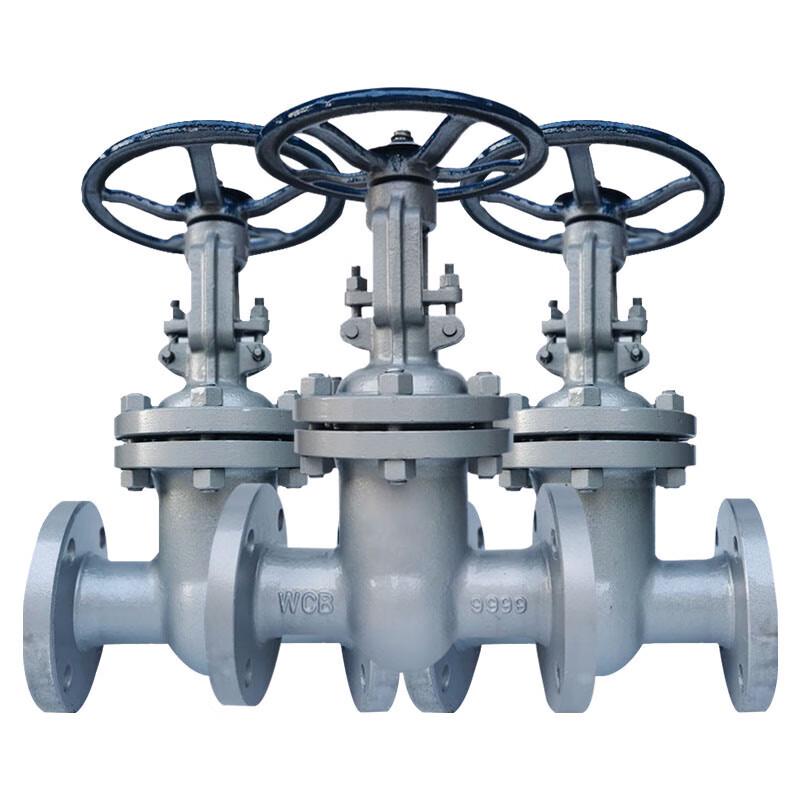 Xuncheng Heavy-Duty Carbon Steel Rising Stem Flange Gate Valve