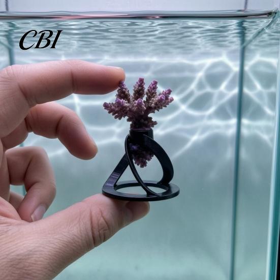Hard Coral Fragment Stand 5Pcs Frag Stands, Aquarium Plugs Sandbed Adjustable Clamping Base Rack Holder Mounts, Accessories for SPS LPS Zoanthid