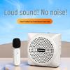 Newmine U-238 Series Portable Wireless Amplifier with Lapel Mic CN plug (adapter included) (CN version)