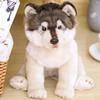 Cute Grey Wolf Plush Toys Simulation Wolf Stuffed Toys Cute Animal Plush Dolls for Kids Girls Gifts