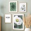 White Daisy Succulent Aloe Tropical Plant Wall Art Canvas Painting Nordic Posters And Prints Wall Pictures For Living Room Decor