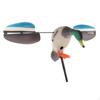 Duck Hunting Shooting Mallard Drake Accessories