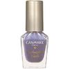 Canmake Colorful Nails N54 Sparkling Lagoon