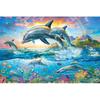 1000 Piece Jigsaw Puzzle Adrian Chesterman Dolphin Parade X (50 75cm)