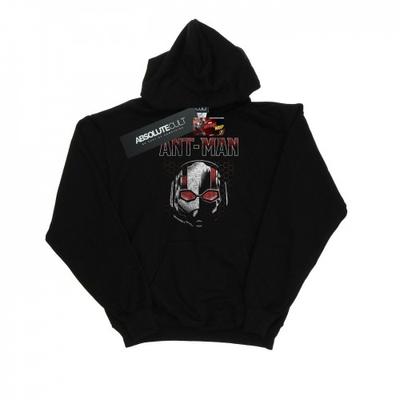 Мужская толстовка с капюшоном Ant-Man And The Wasp Scott Mask Hexagon