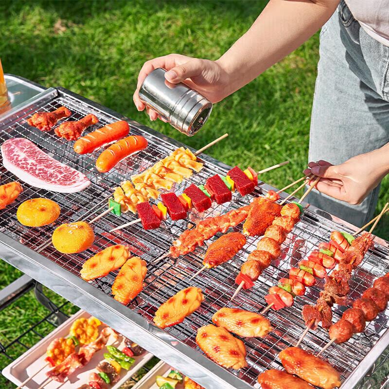 Portable Stainless Steel Foldable BBQ Grill