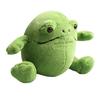 Плюшевая игрушка лягушка Рики Дождь Очаровательная и приятная на ощупь мягкая игрушка подарок для детей