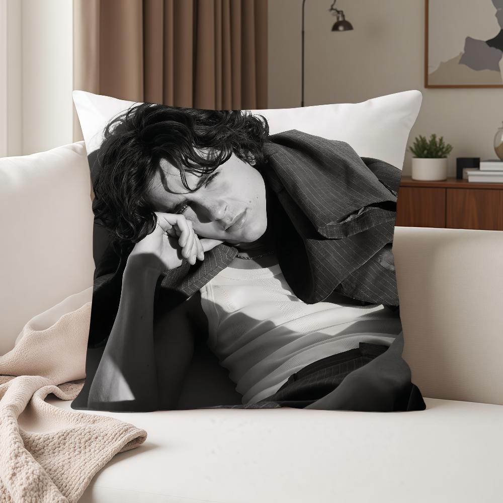Actor Timothee Chalamet Pillow Case Suitable For Bedrooms Living Rooms Cars Home Decoration
