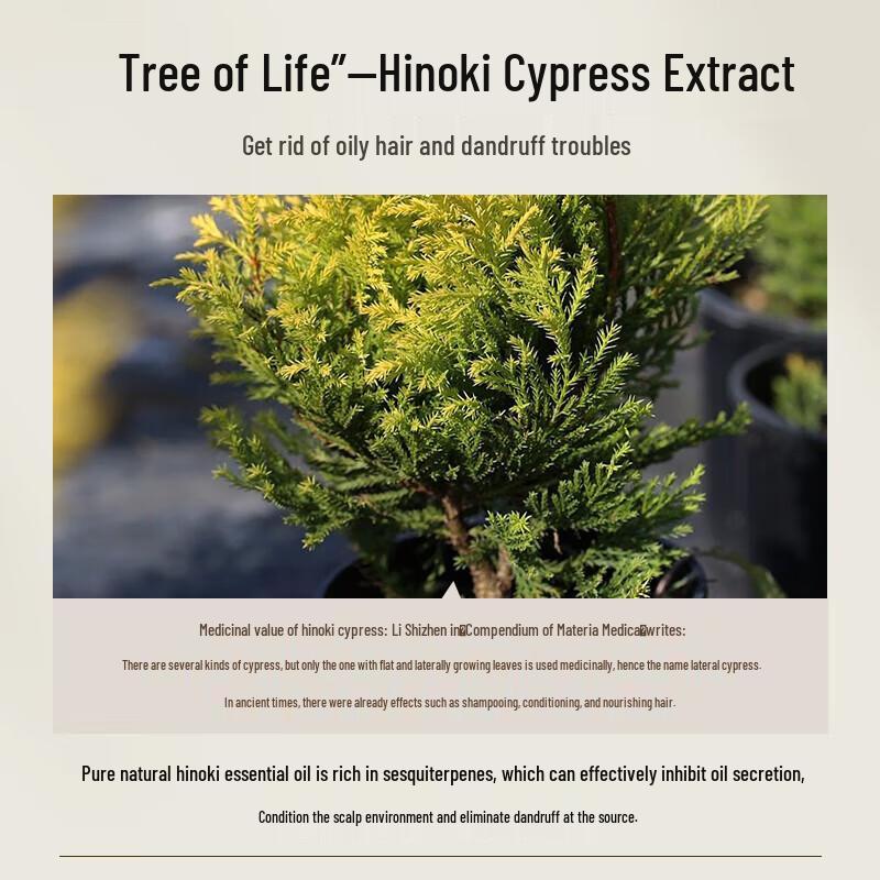 Asaka Japanese Cypress Amino Acid Shampoo