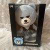 [Б/У] Официальная плюшевая игрушка-медведь BIGBANG Тэсон