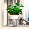 Self Watering Hydroponic Planter Including Liner Soil Flower Pot New Potted Flower Pot