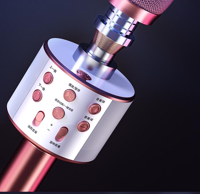 Wireless Bluetooth Home KTV Singing Microphone and Speaker - Model 858