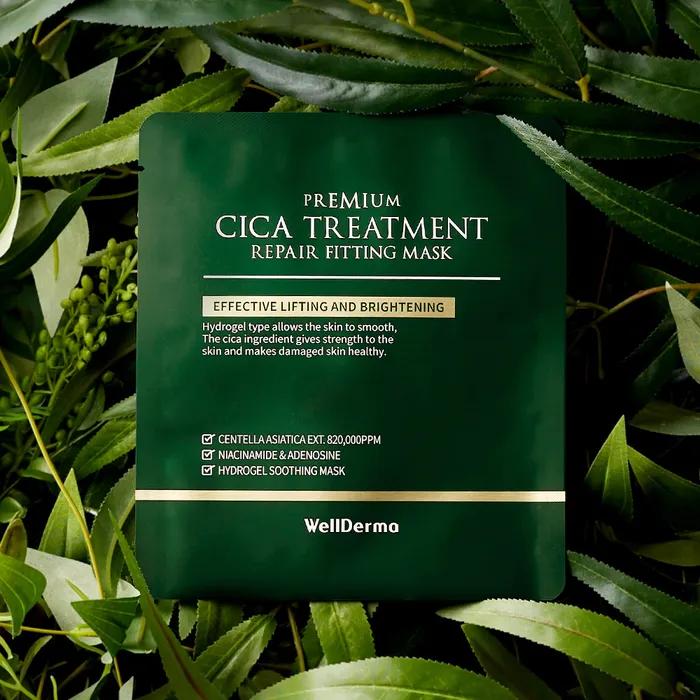 [True Moisturizing Cica Mask Pack]_Wellderma Cica Repair Hydrogel Fitting Mask Pack 4 Sheets