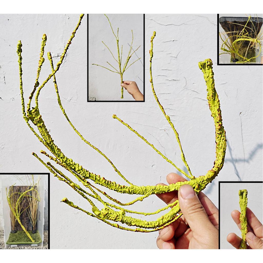 Рептилии Растение Скрыть Виноградная Ветка Листья Террариум Джунгли Среда обитания для Ящериц Гекконов Змея Декоративное Ложное Растение