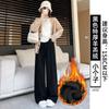 Gray Glutinous Rice Pants Women's New Autumn and Winter High Waist Drape Straight Loose Small Lazy Wide Leg Pants